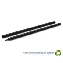 Siyah Kurşun Kalem